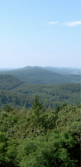 Teutoburger Wald