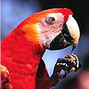 Vogelpark Heiligenkirchen