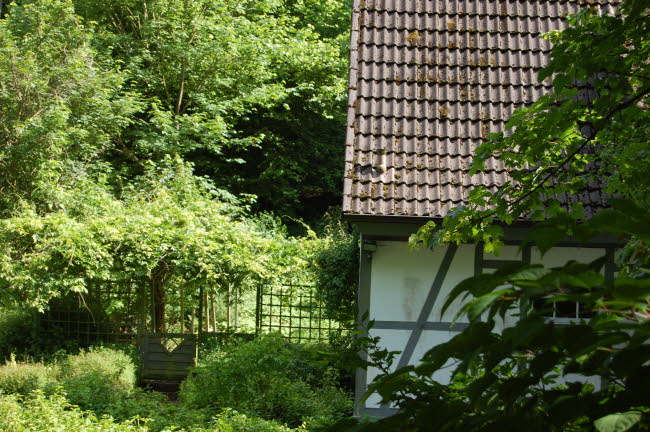 Forsthaus_Aussen_7