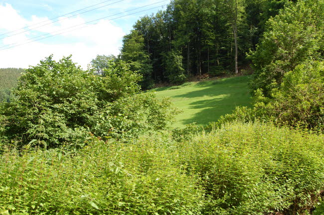 Forsthaus_Aussen_9